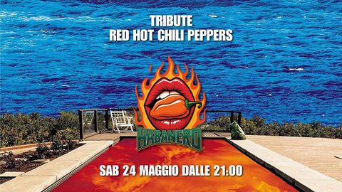 Evento Habanero - Red Hot Chili Peppers Tribute al Pank Rabbit Frascati - Musica dal vivo, Live, Concerti, DJ Set, Karaoke, Jam Session, Cocktail, Drink, Cibo e Eventi